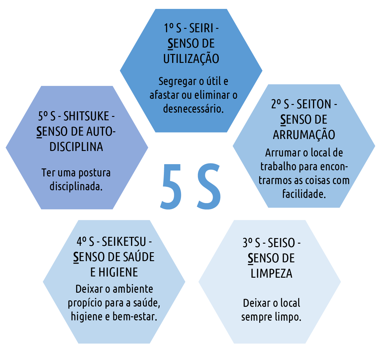 5 Sensos da Transformação
